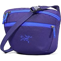 Amazon | [アークテリクス] ARCTERYX マンティス2ウエスト